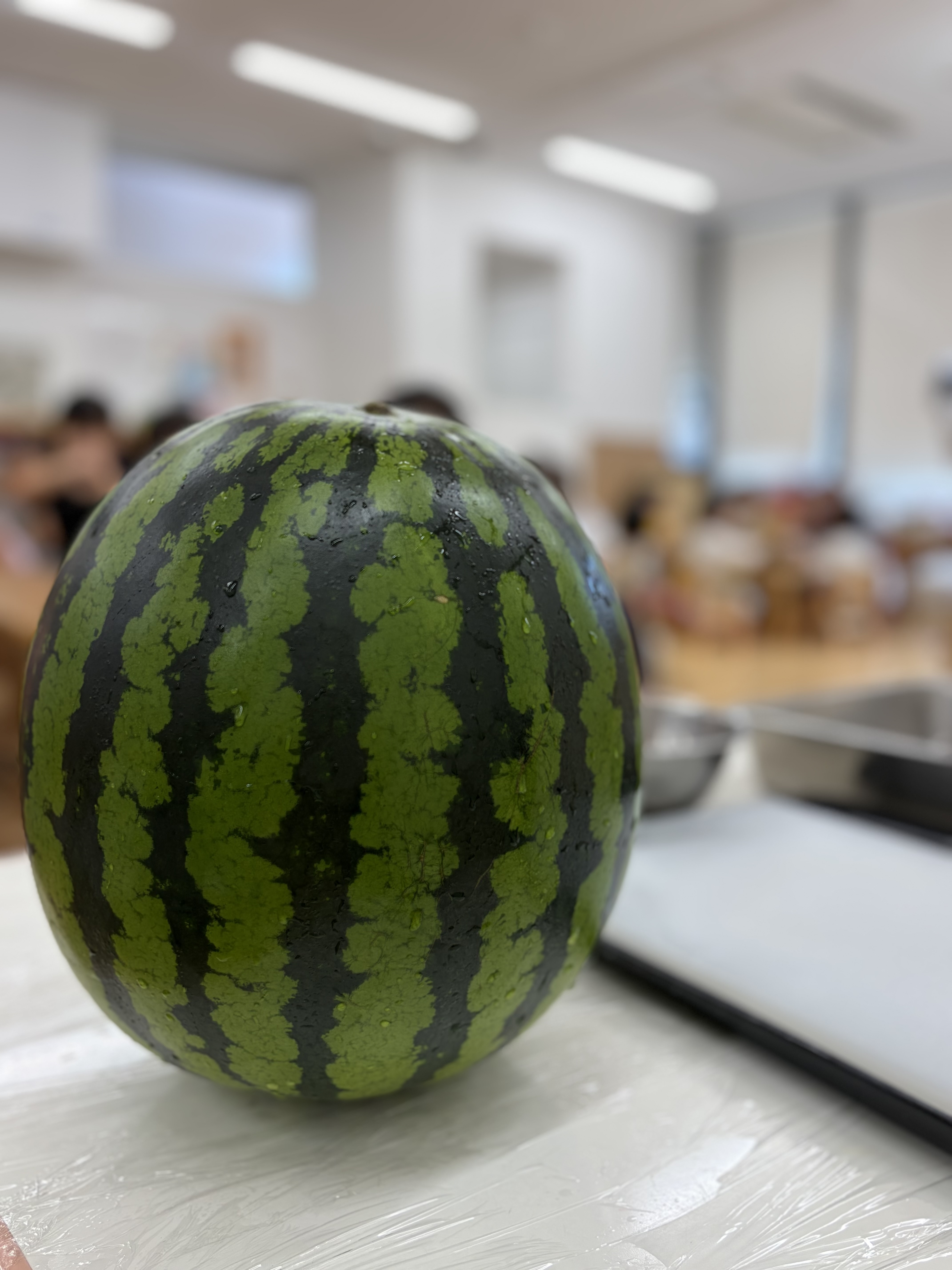 2026年８月園だより